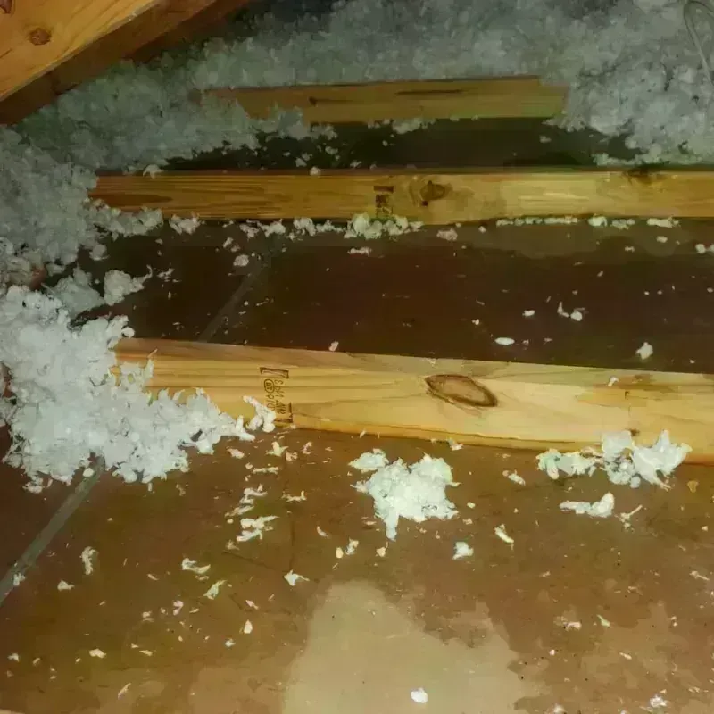 Attic Water Damage in DeKalb County, AL