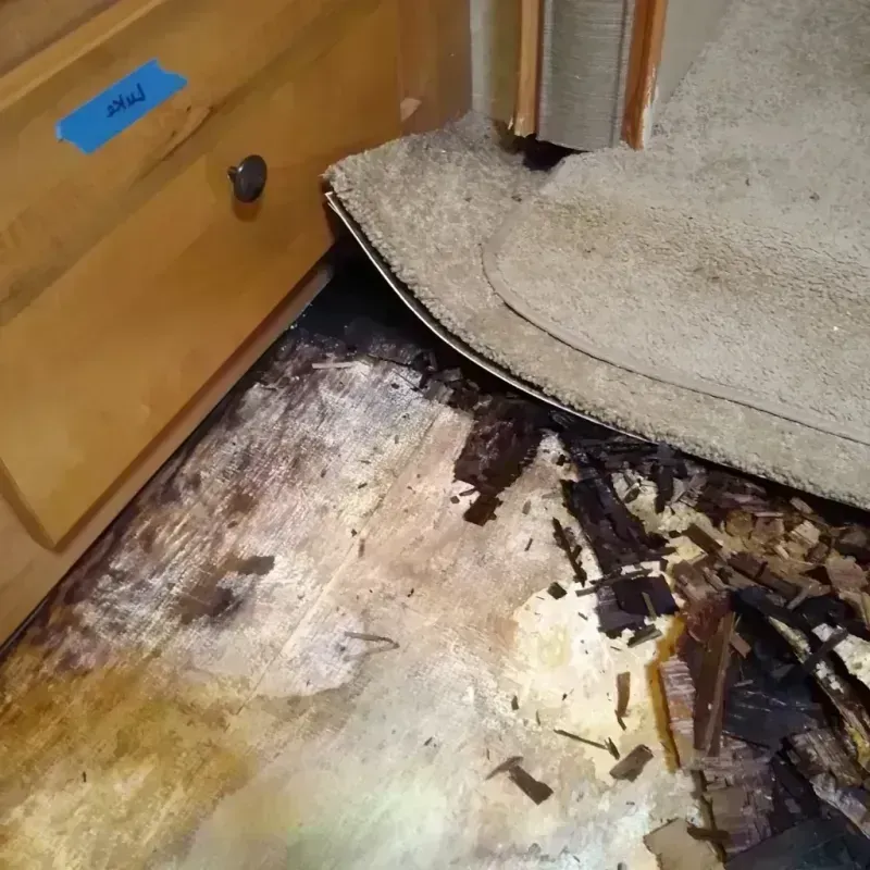 Wood Floor Water Damage in DeKalb County, AL